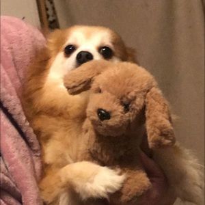 Meet your Posher, Cole